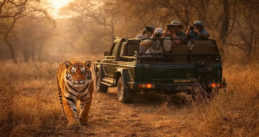 Agra Jaipur Ranthambore Tour - GT08