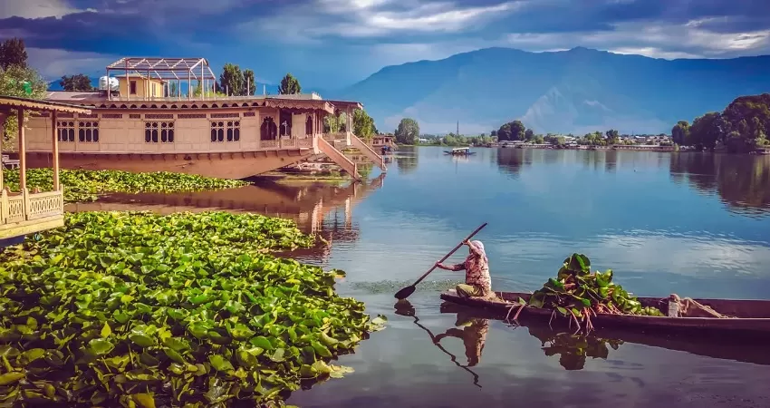 Delhi Agra Jaipur Srinagar Tour - GT11
