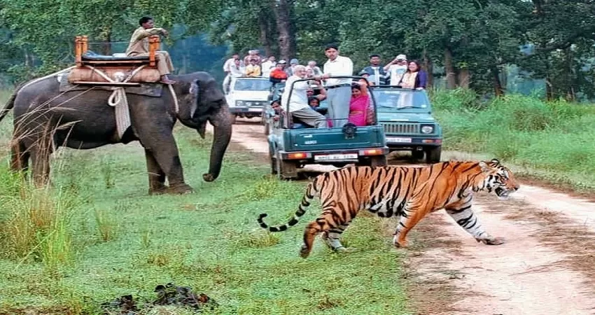 Jim Corbett National Park Package - UK08